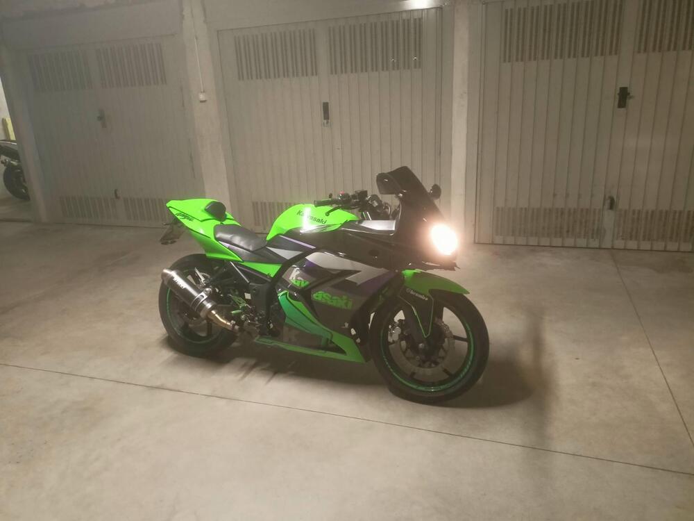 Kawasaki Ninja 250 R (2007 - 13)