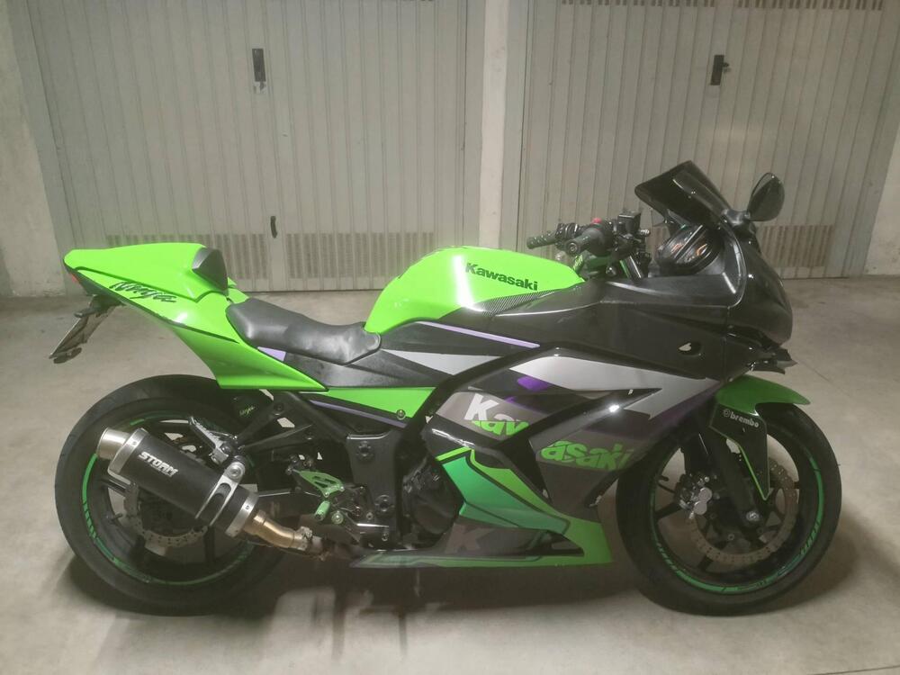 Kawasaki Ninja 250 R (2007 - 13) (4)