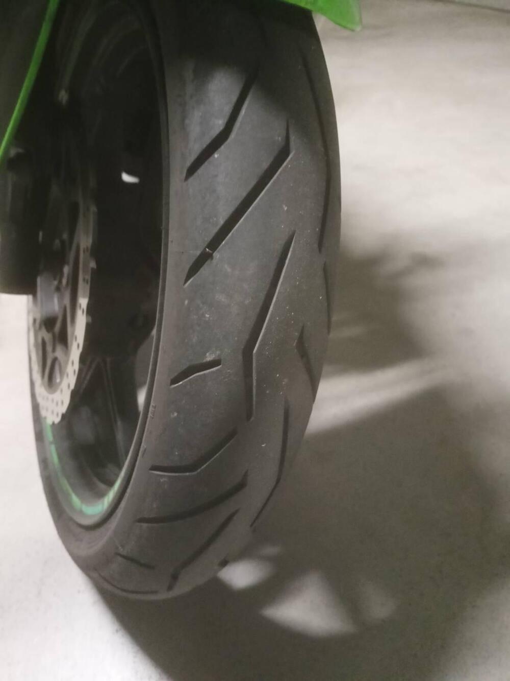 Kawasaki Ninja 250 R (2007 - 13) (9)