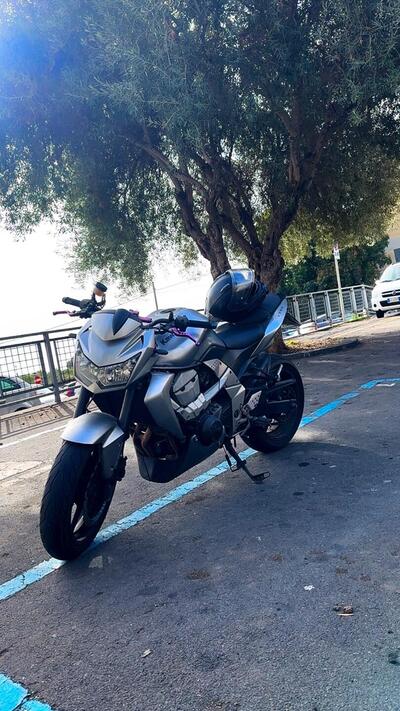 Kawasaki Z 750 (2007 - 14) usata