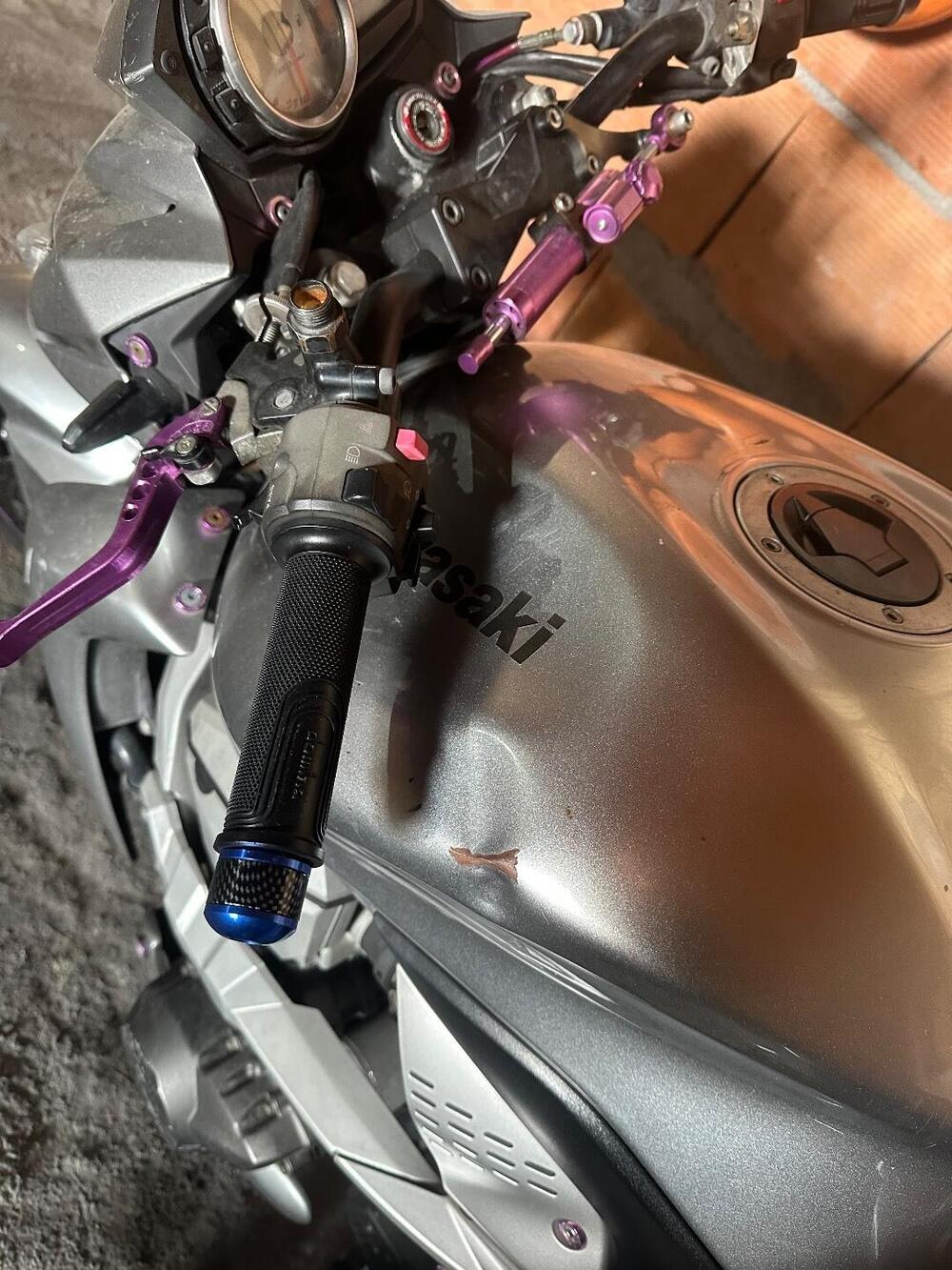 Kawasaki Z 750 (2007 - 14) (2)