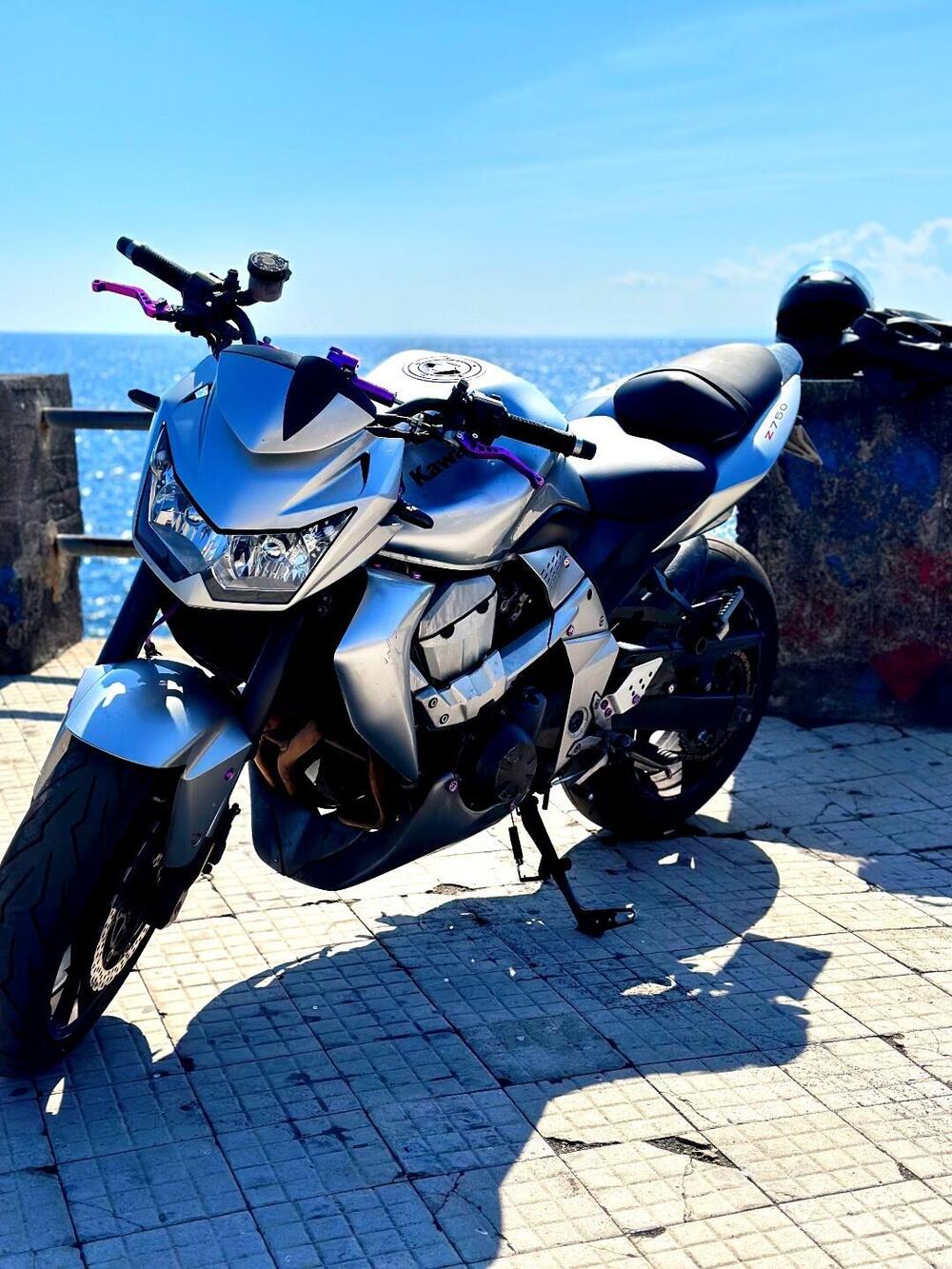 Kawasaki Z 750 (2007 - 14) (7)