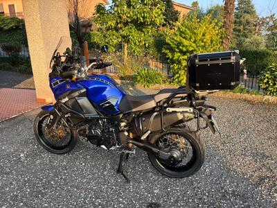 Yamaha XT1200Z Super T&eacute;n&eacute;r&eacute; Worldcrosser (2015 - 16) usata