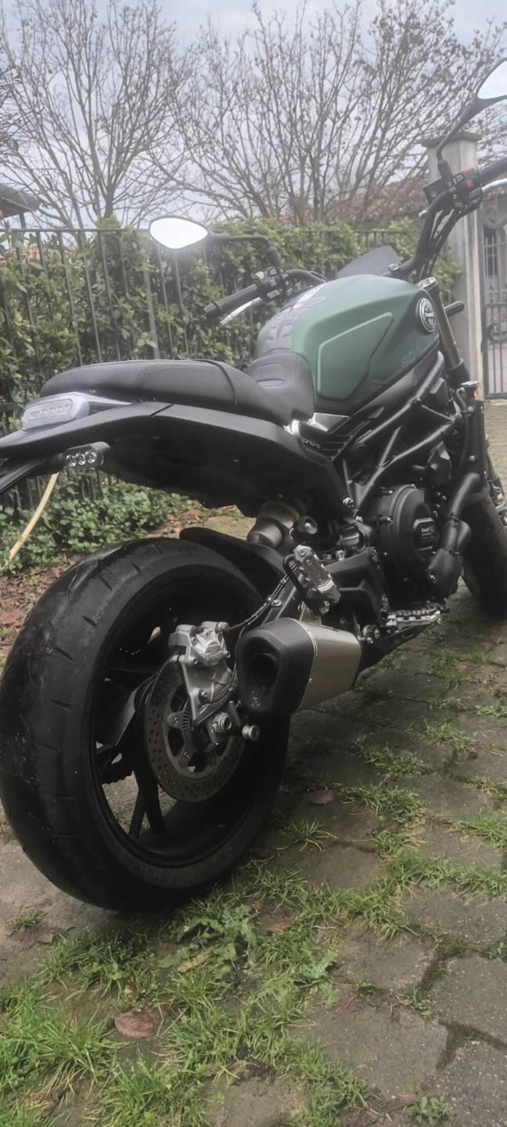 Benelli Leoncino 800 (2022 - 25) (2)