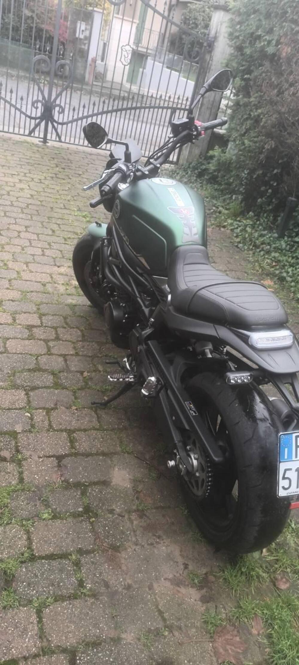 Benelli Leoncino 800 (2022 - 25) (3)