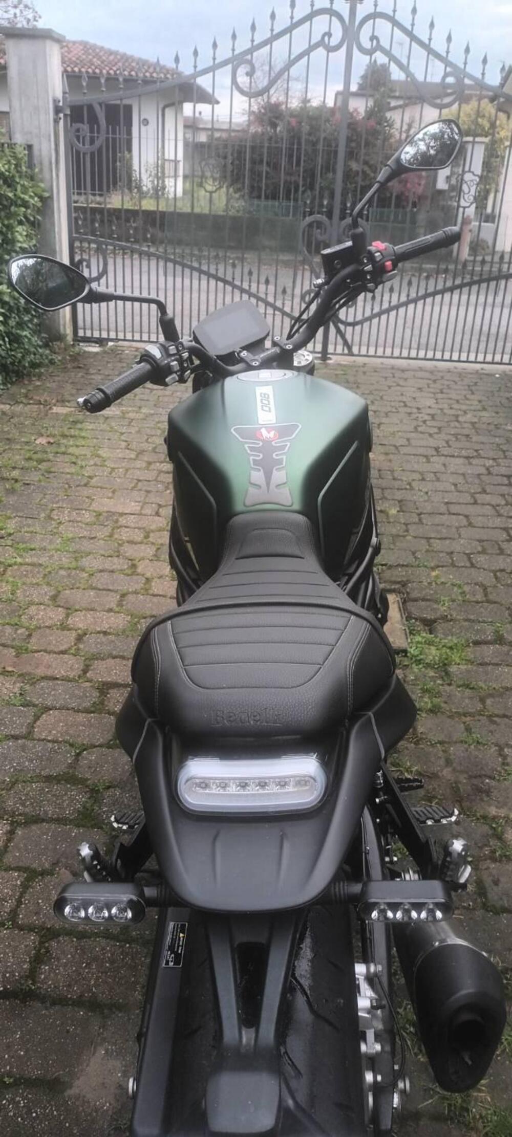 Benelli Leoncino 800 (2022 - 25) (4)