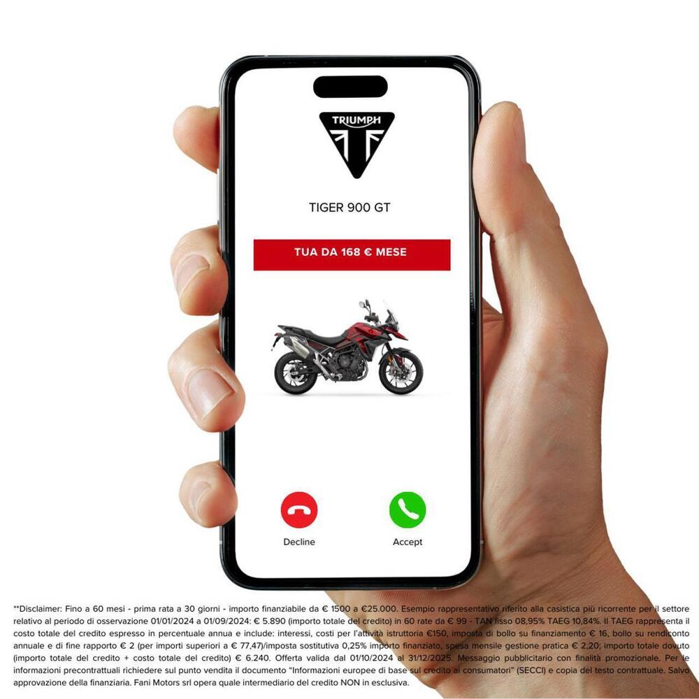 Triumph Tiger 900 GT (2024 - 26) (3)