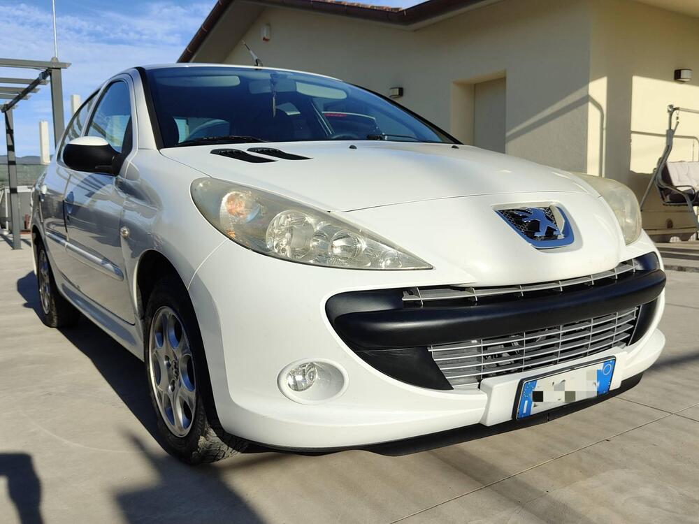 Peugeot 206 usata a Perugia (2)
