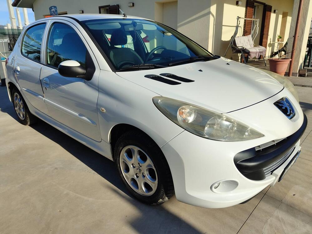Peugeot 206 usata a Perugia (5)