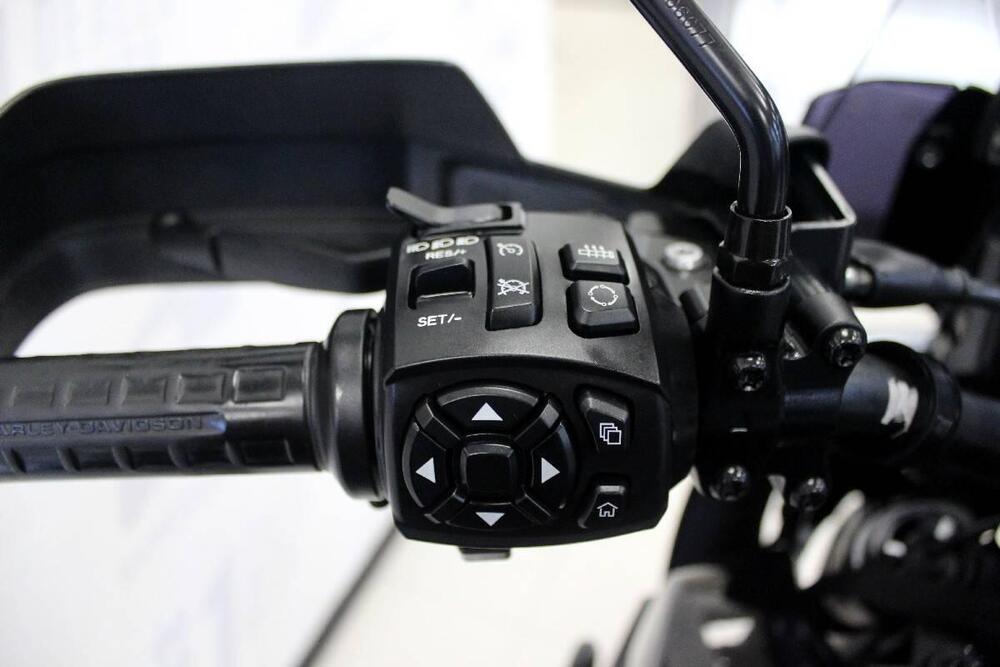 Harley-Davidson Pan America 1250 Special (2020 - 25) (7)