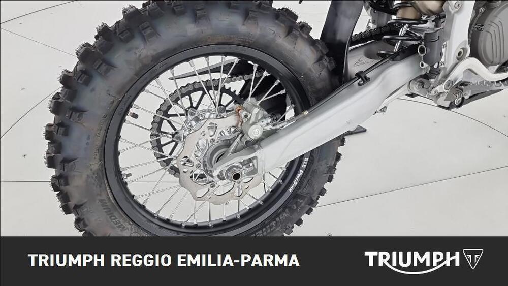 Triumph TF 450-E (2026) (15)