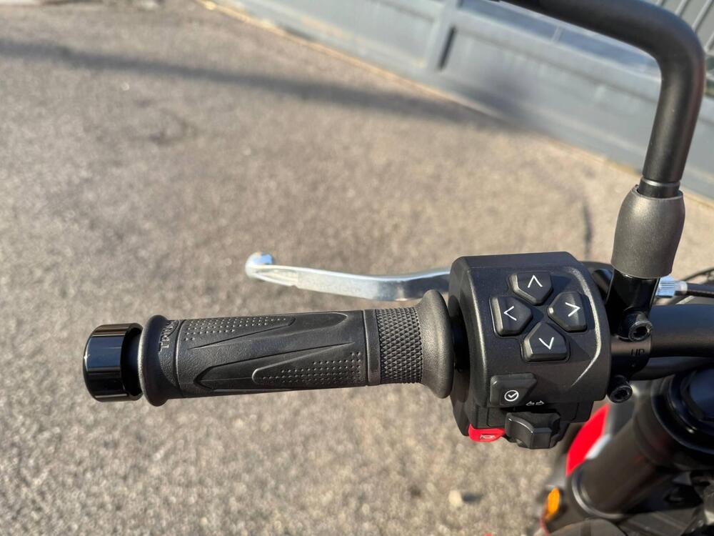 Triumph Trident 660 (2021 - 24) (16)