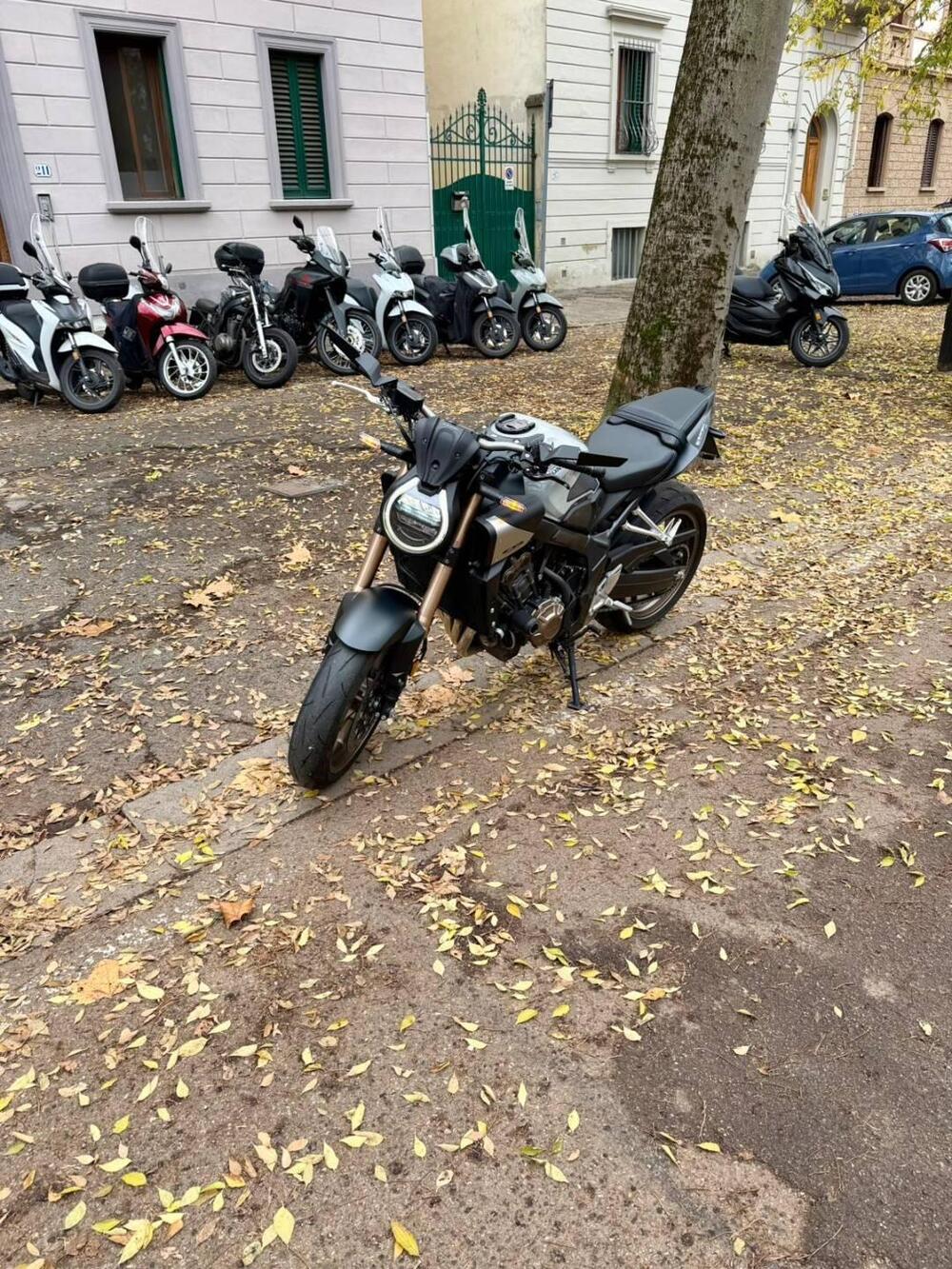 Honda CB 650 R (2024 - 25) (2)