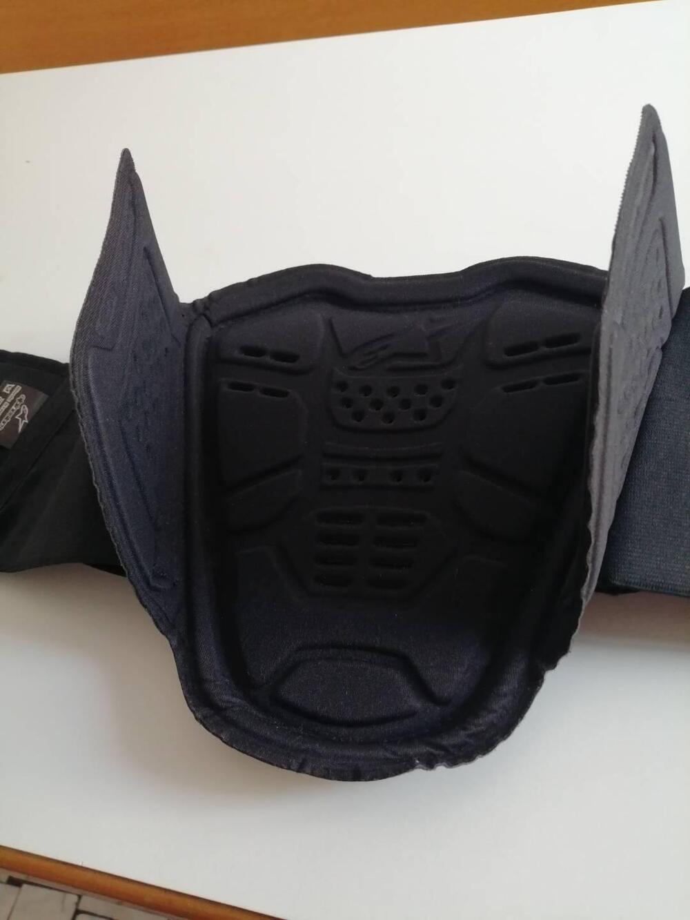 ALPINESTARS - paraschiena Bionic Street (4)