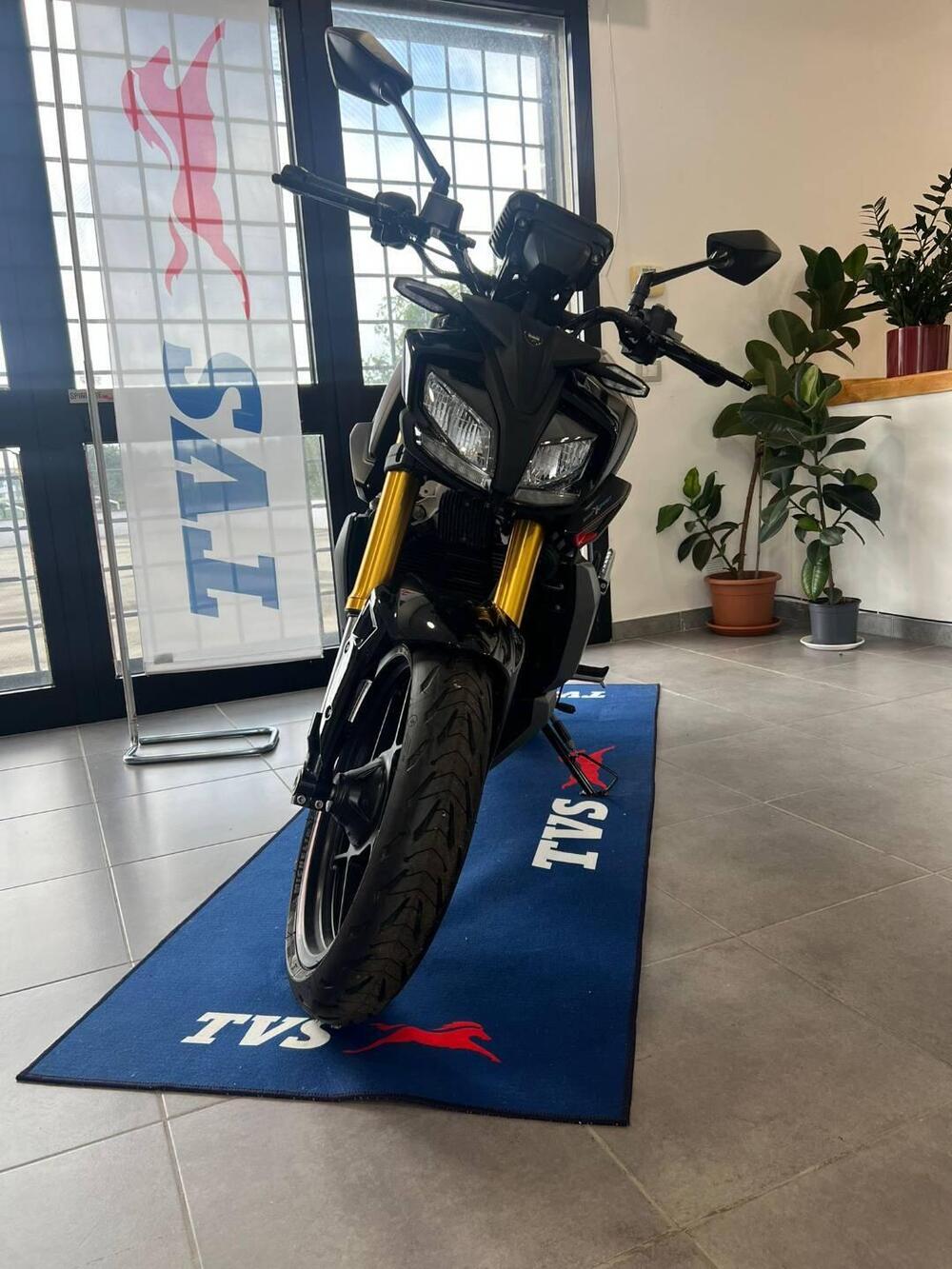 TVS Motor RTR 310 (2024 - 26) (2)