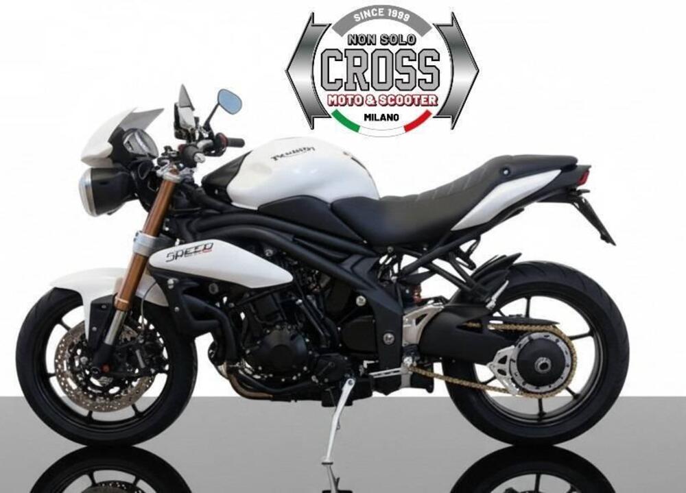 Triumph Speed Triple 1050 (2011 - 13) (5)