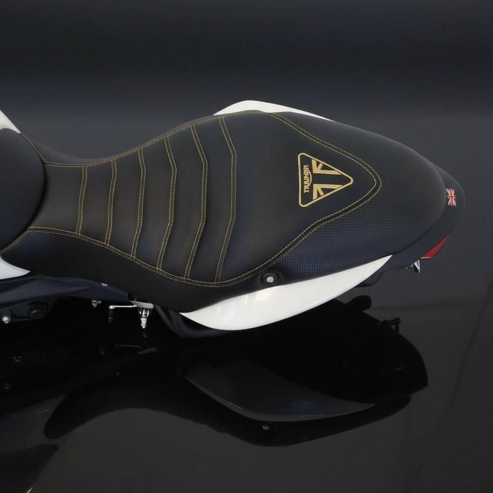 Triumph Speed Triple 1050 (2011 - 13) (8)