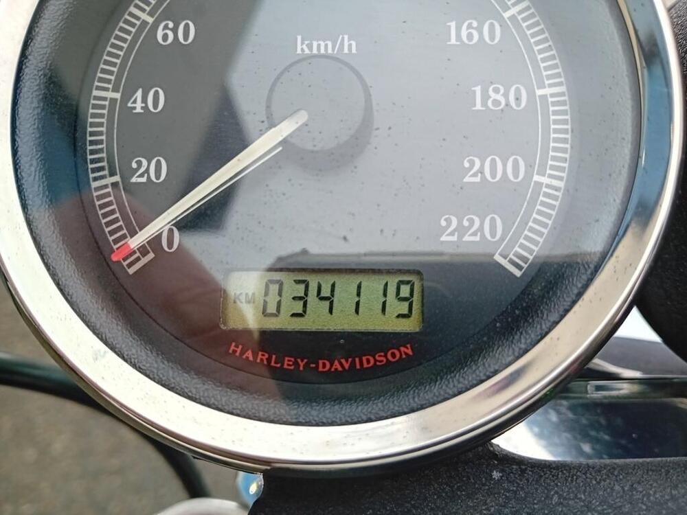 Harley-Davidson 1200 Roadster (2006 - 08) - XL 1200R (5)