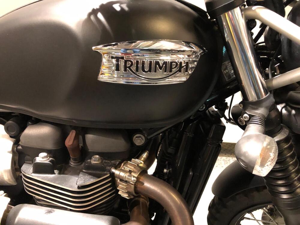 Triumph Street Scrambler 900 (2019 - 20) (2)