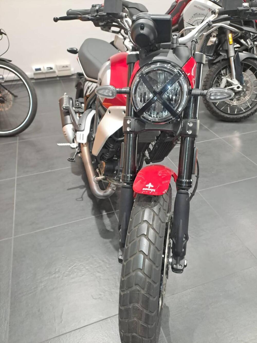 Ducati Scrambler 800 Icon (2023 - 24) (7)
