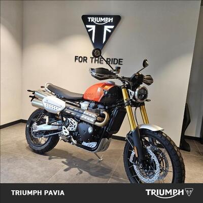 Triumph Scrambler 1200 XE (2024 - 25) nuova