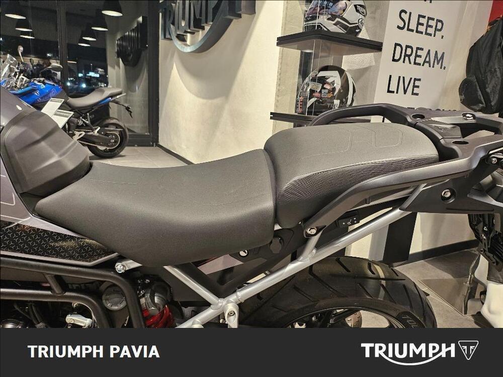 Triumph Tiger 900 GT Pro (2024 - 25) (9)