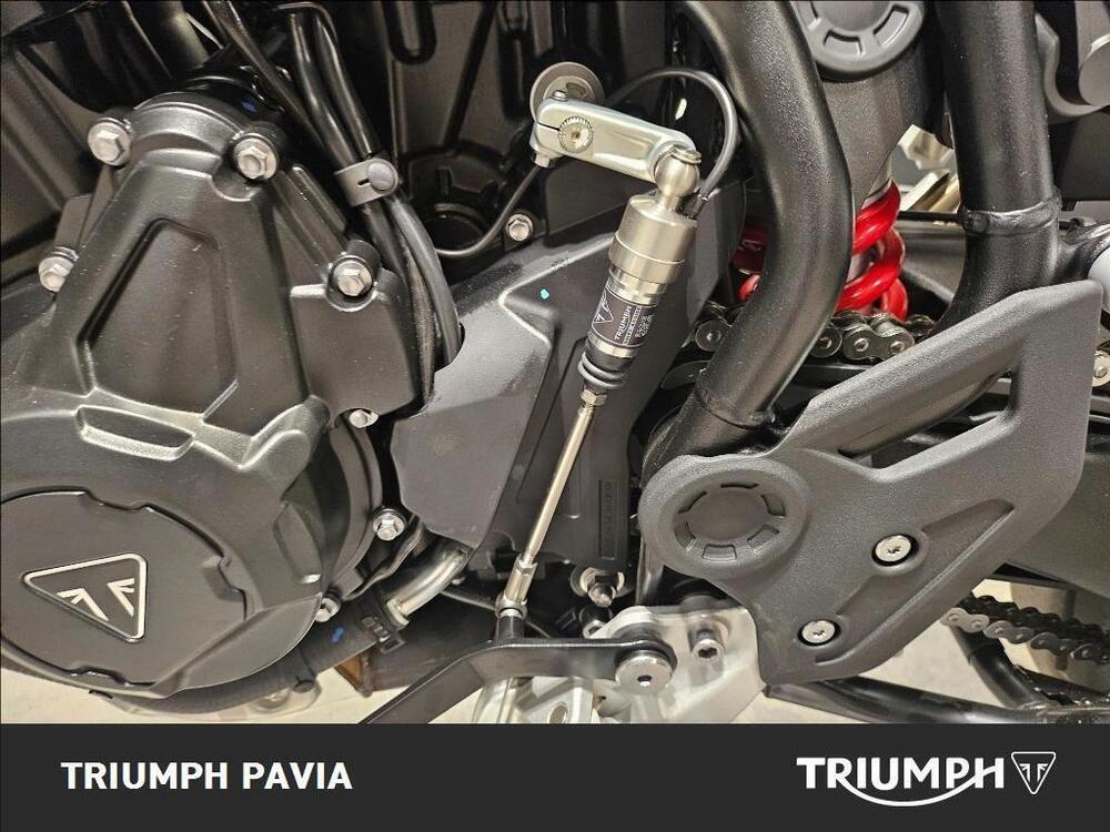 Triumph Tiger 900 GT Pro (2024 - 25) (17)