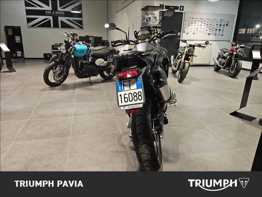 Triumph Tiger 900 GT Pro (2024 - 25) (5)