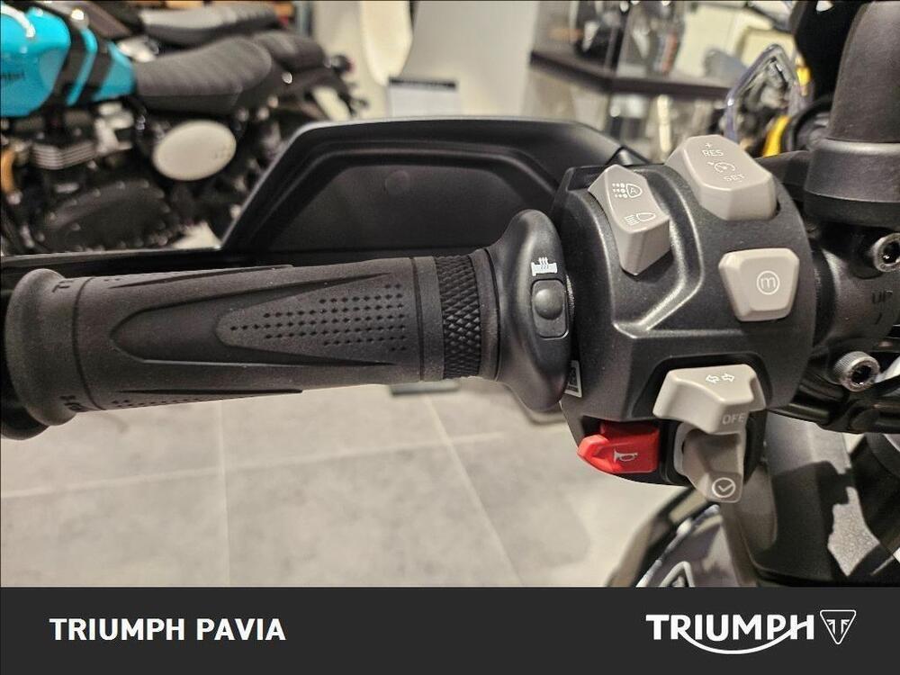 Triumph Tiger 900 GT Pro (2024 - 25) (19)