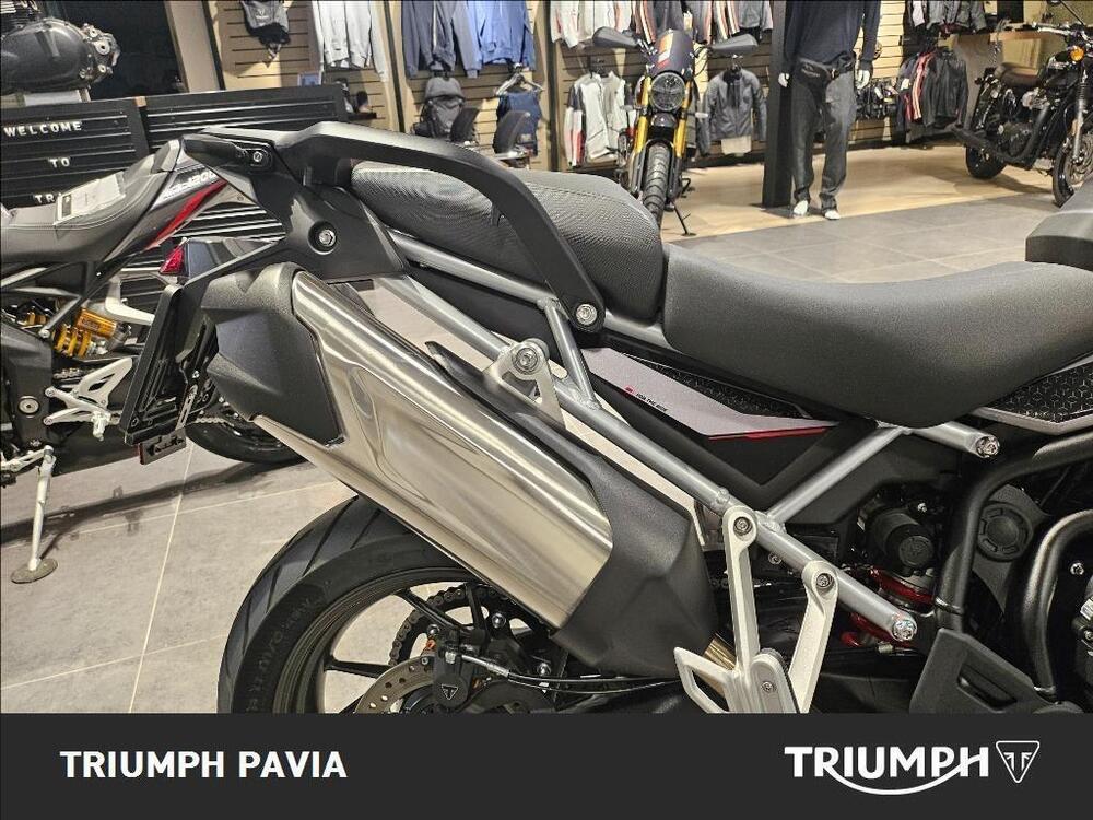 Triumph Tiger 900 GT Pro (2024 - 25) (11)