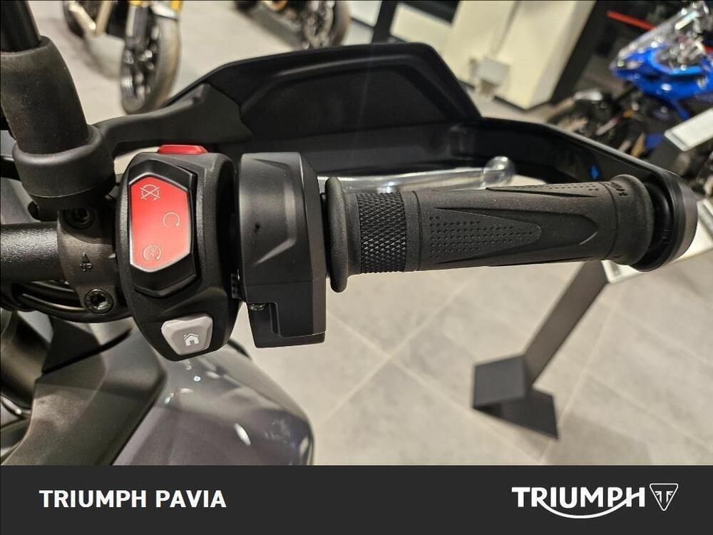 Triumph Tiger 900 GT Pro (2024 - 25) (20)