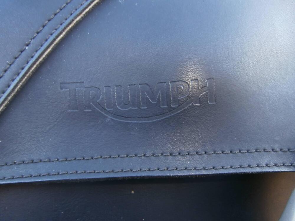 Triumph Bonneville T120 (2016 - 20) (15)