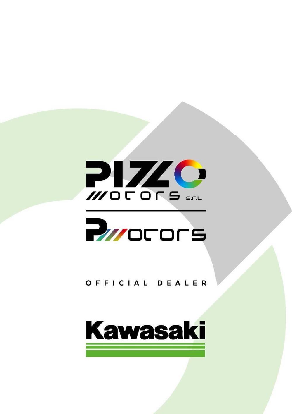 Kawasaki Ninja ZX-4RR (2024 - 26) (7)