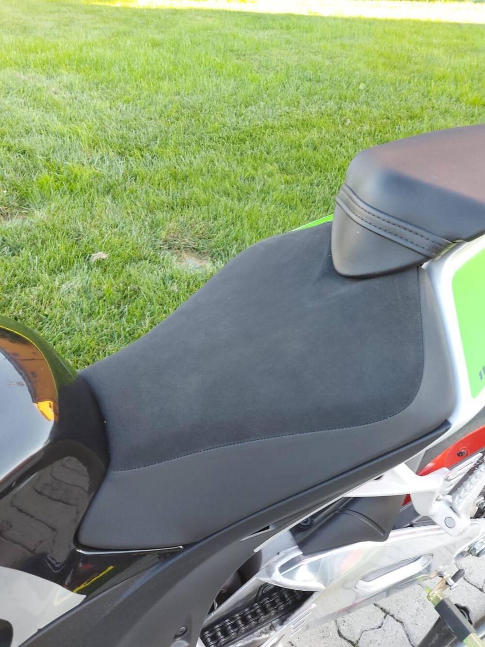 Aprilia Tuono V4 Factory (2019 - 20) (5)