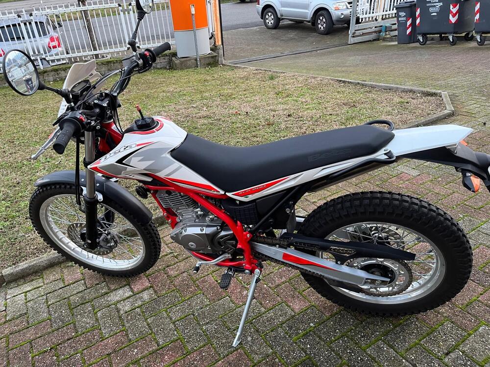 Betamotor Alp 200 (2021 - 25) (10)