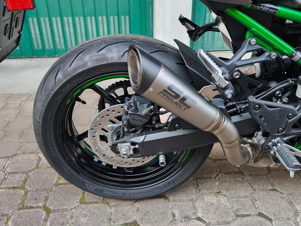 Kawasaki Z 900 (2025 - 26) (5)