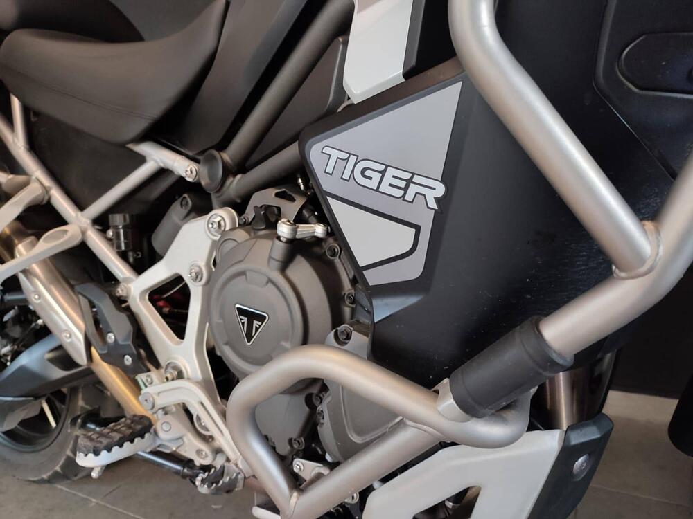 Triumph Tiger 1200 GT Explorer (2024 - 25) (3)