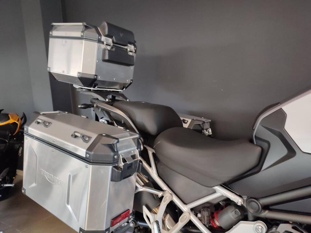 Triumph Tiger 1200 GT Explorer (2024 - 25) (7)