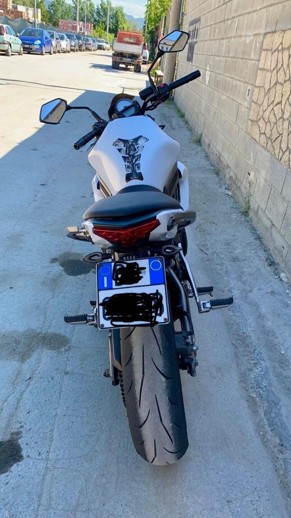 Kawasaki ER-6N (2012 - 13) (3)