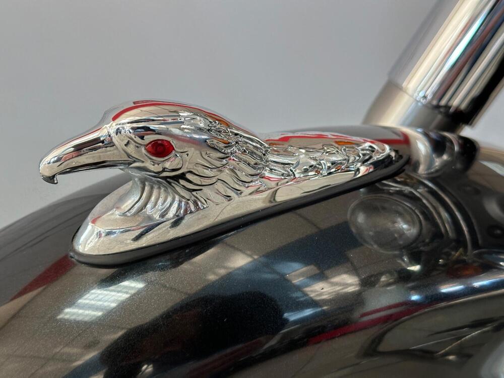 Kawasaki VN 800 Classic (2001 - 06) (6)