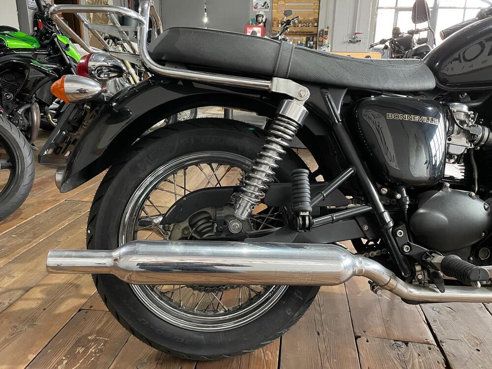 Triumph Bonneville 800 (2002 - 07) (3)