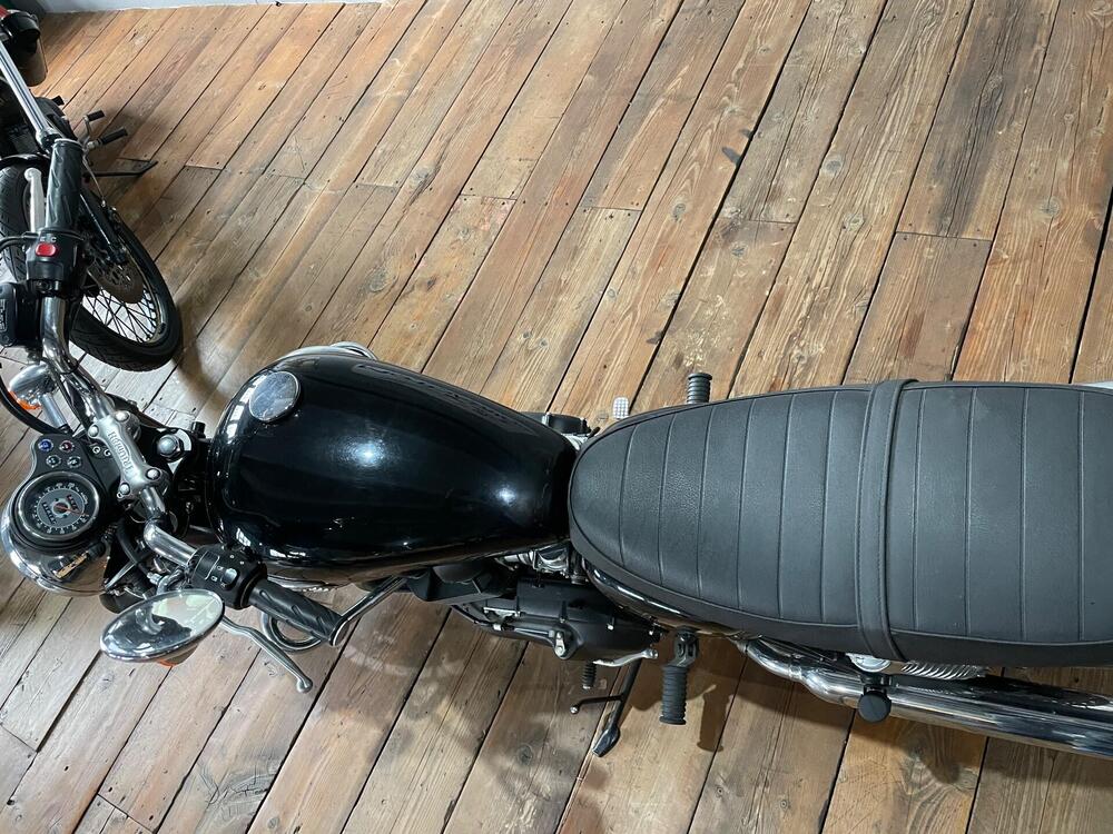 Triumph Bonneville 800 (2002 - 07) (4)