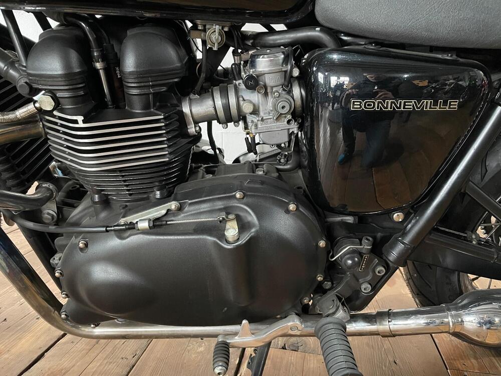 Triumph Bonneville 800 (2002 - 07) (7)