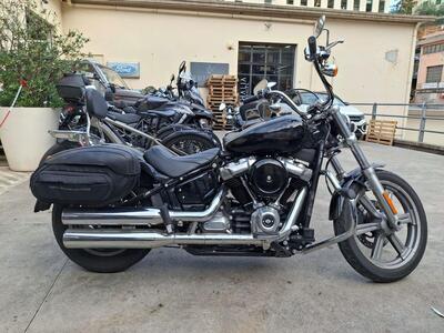Harley-Davidson Softail Standard (2021 - 25) usata