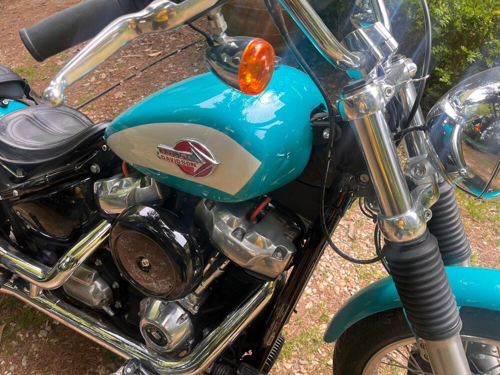 Harley-Davidson Softail Standard (2020) - FXST (3)