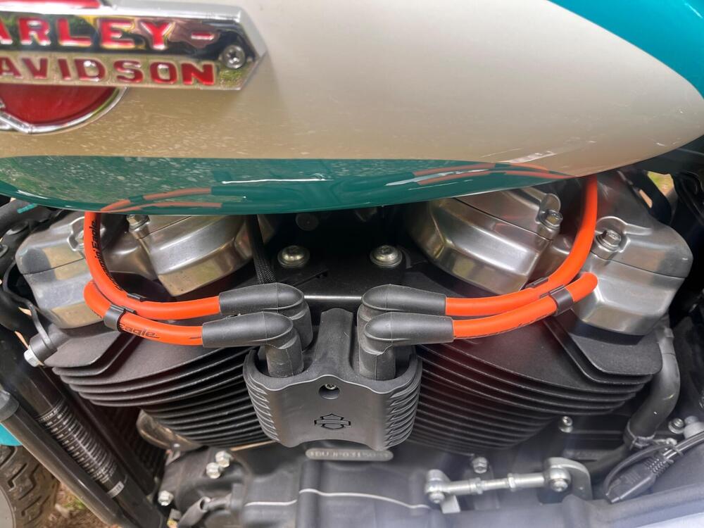 Harley-Davidson Softail Standard (2020) - FXST (9)