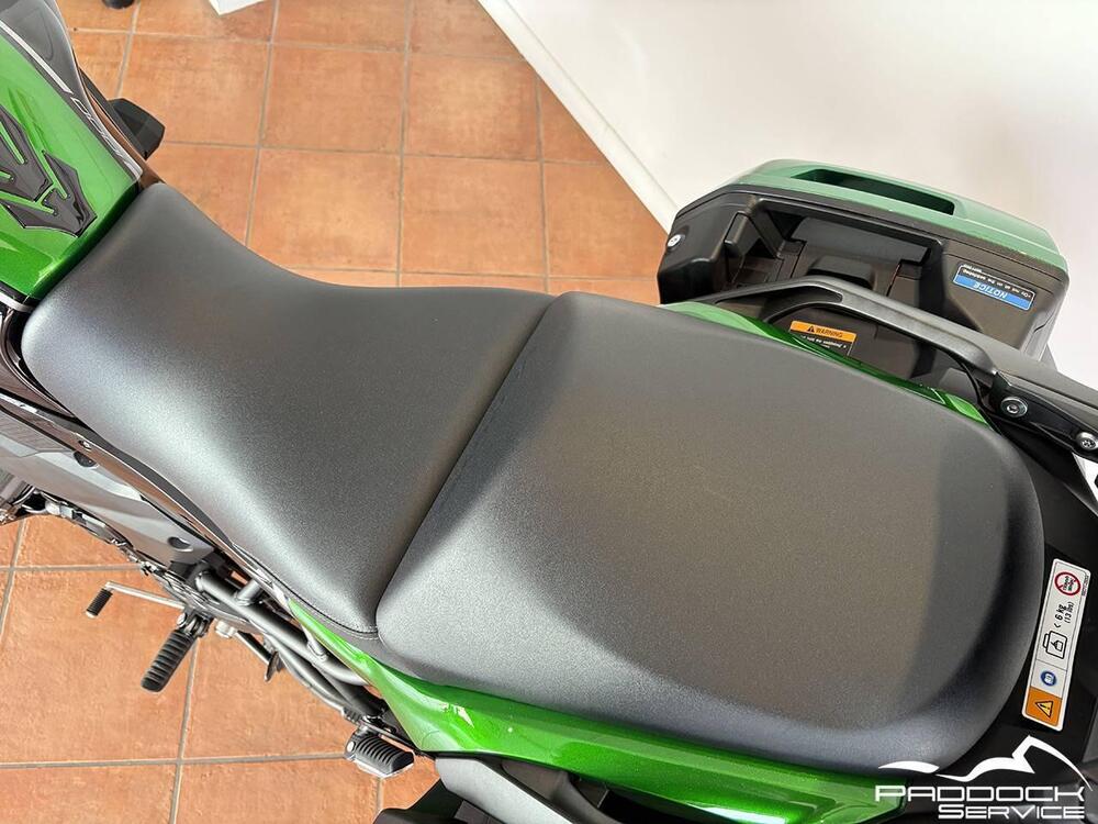 Kawasaki Versys 1000 SE Grand Tourer (2022 - 24) (11)