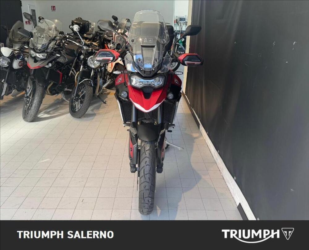 Triumph Tiger 900 GT Pro (2024 - 25) (3)