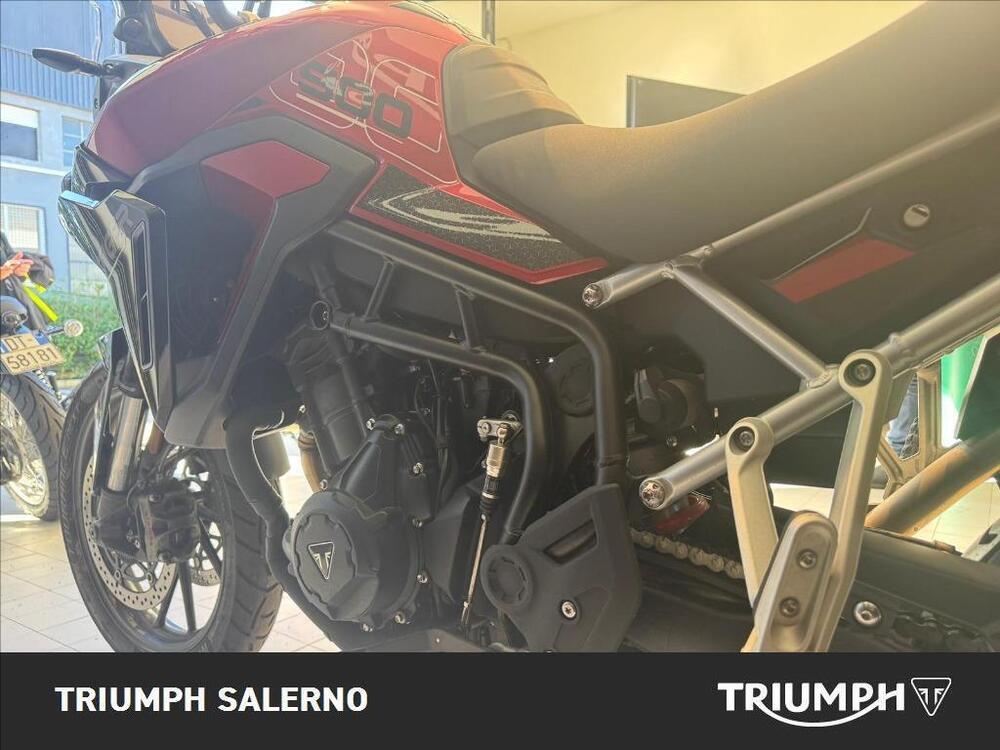Triumph Tiger 900 GT Pro (2024 - 25) (5)