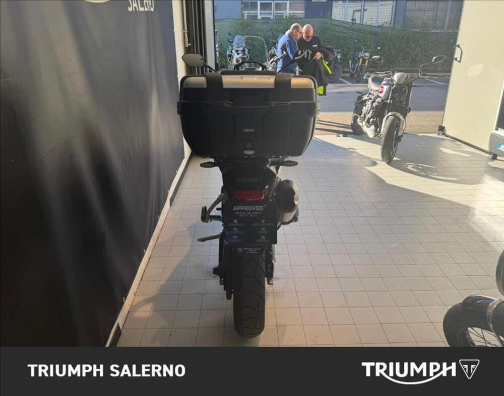 Triumph Tiger 900 GT Pro (2024 - 25) (6)